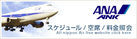 ANA全日空国内線-WEBサイトへ